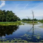 Unterwegs im Naturschutzgebiet Krickenbecker Seen (1)