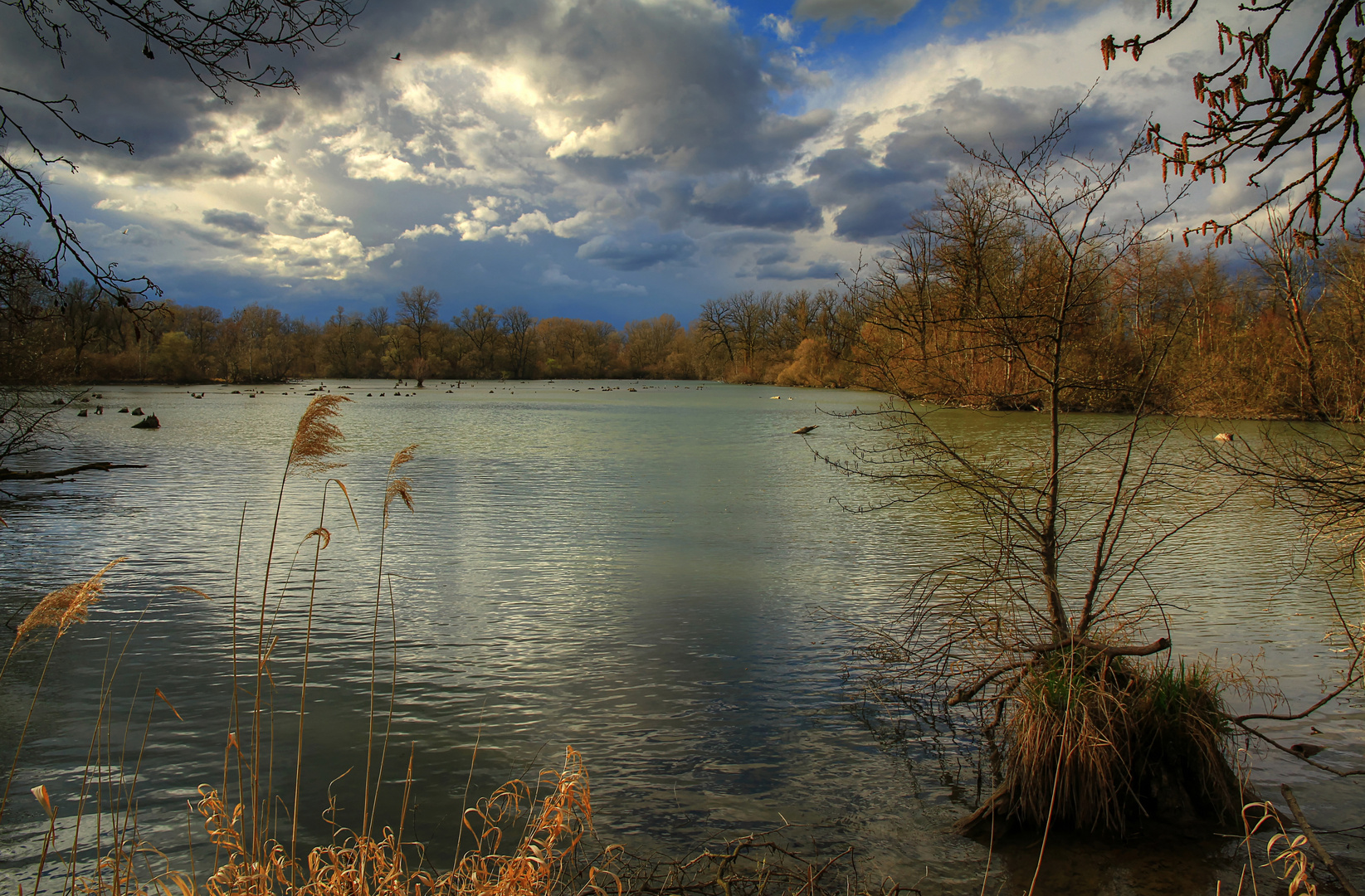 Unterwegs im Naturschutzgebiet Taubergießen