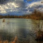 Unterwegs im Naturschutzgebiet Taubergießen