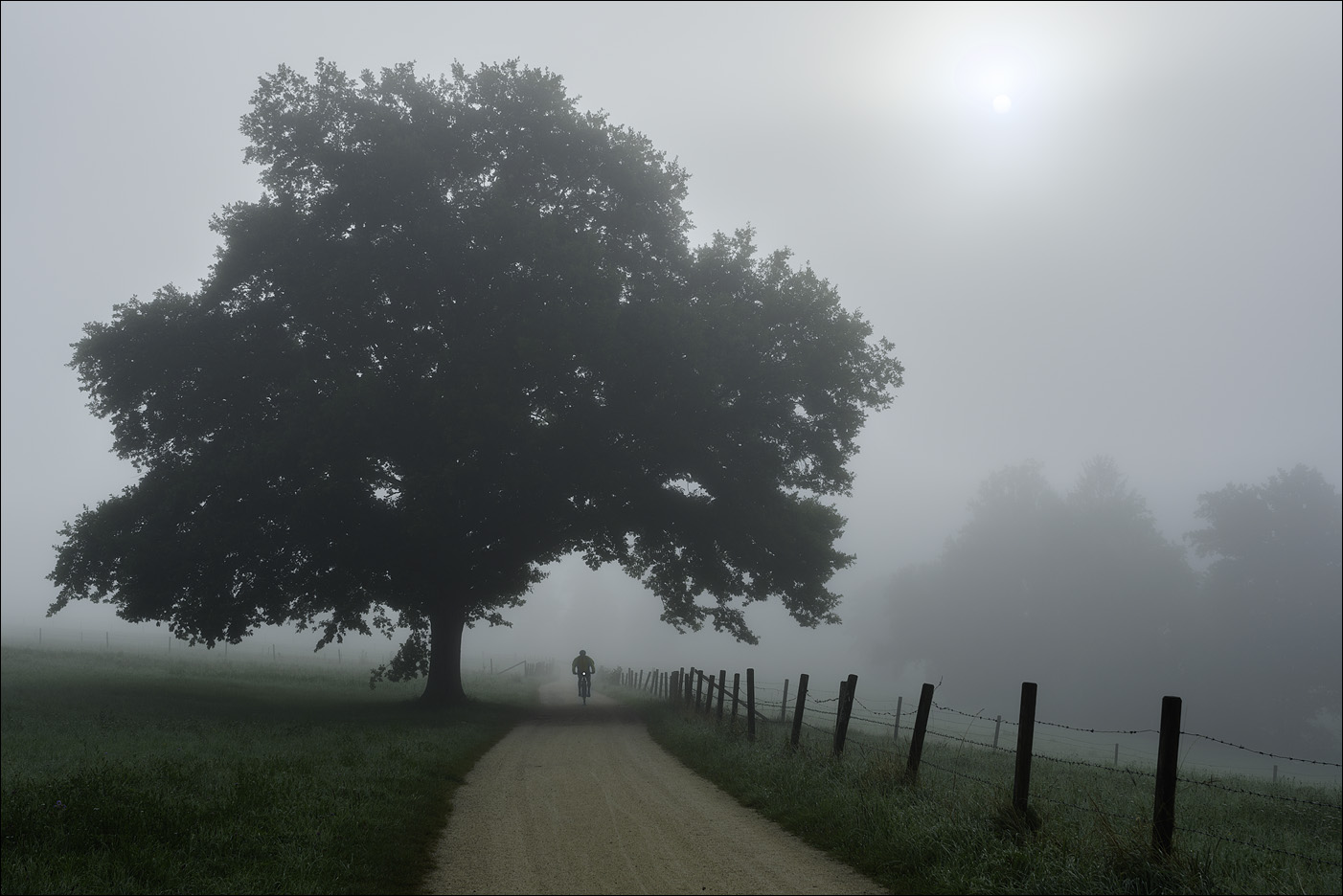 unterwegs im Nebel