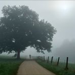 unterwegs im Nebel