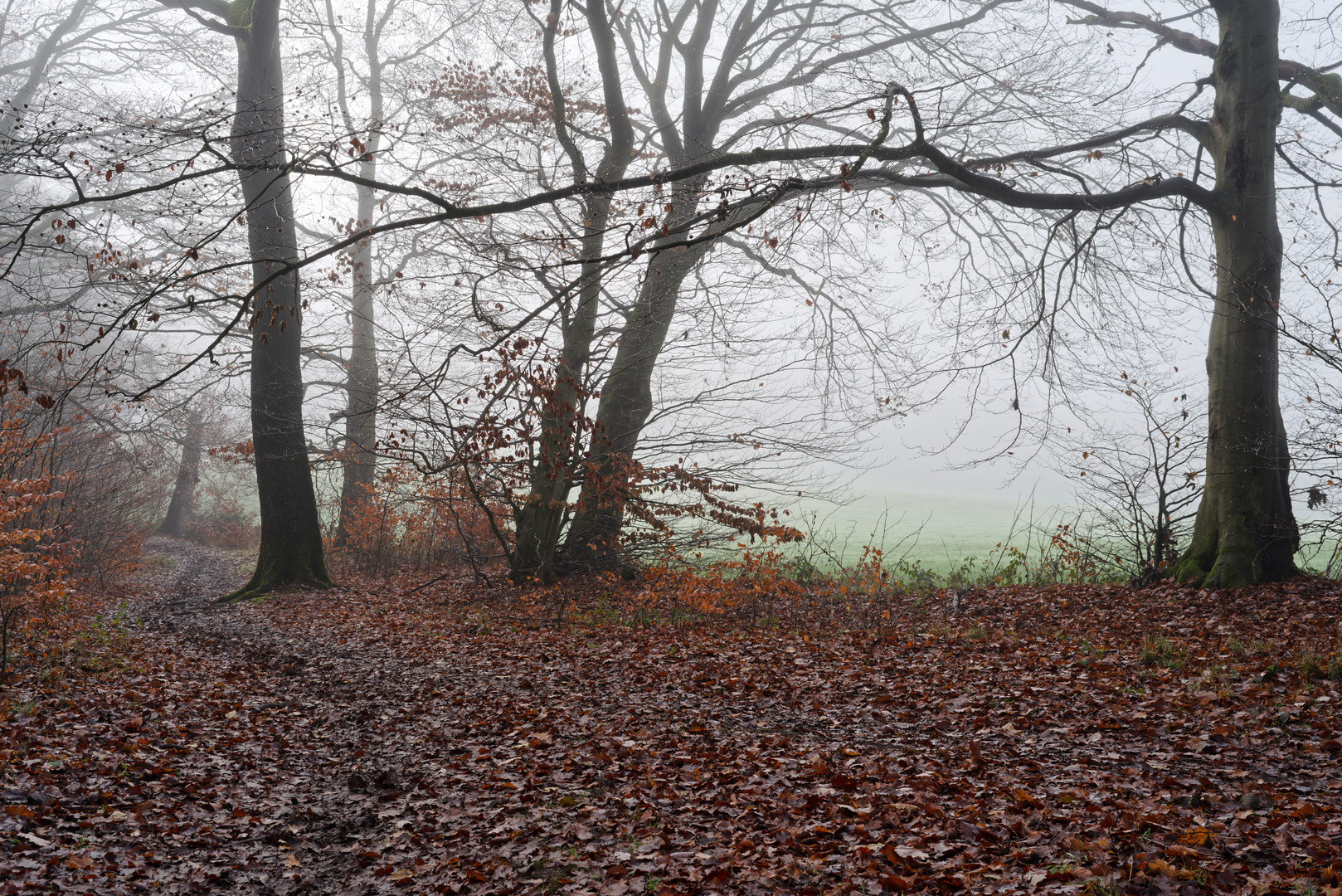 Unterwegs im Nebel