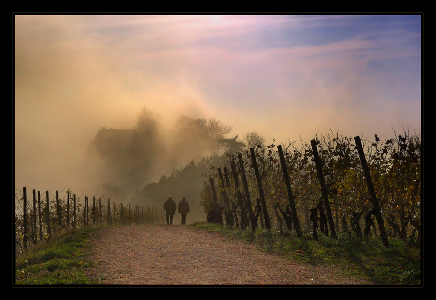 Unterwegs im Nebeltal