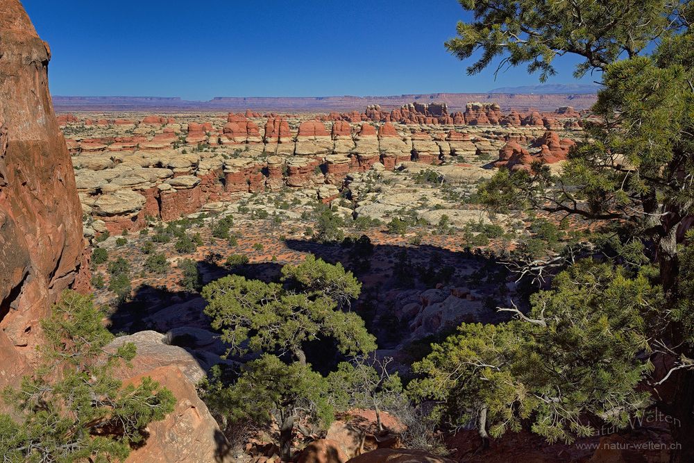 Unterwegs im Needles District