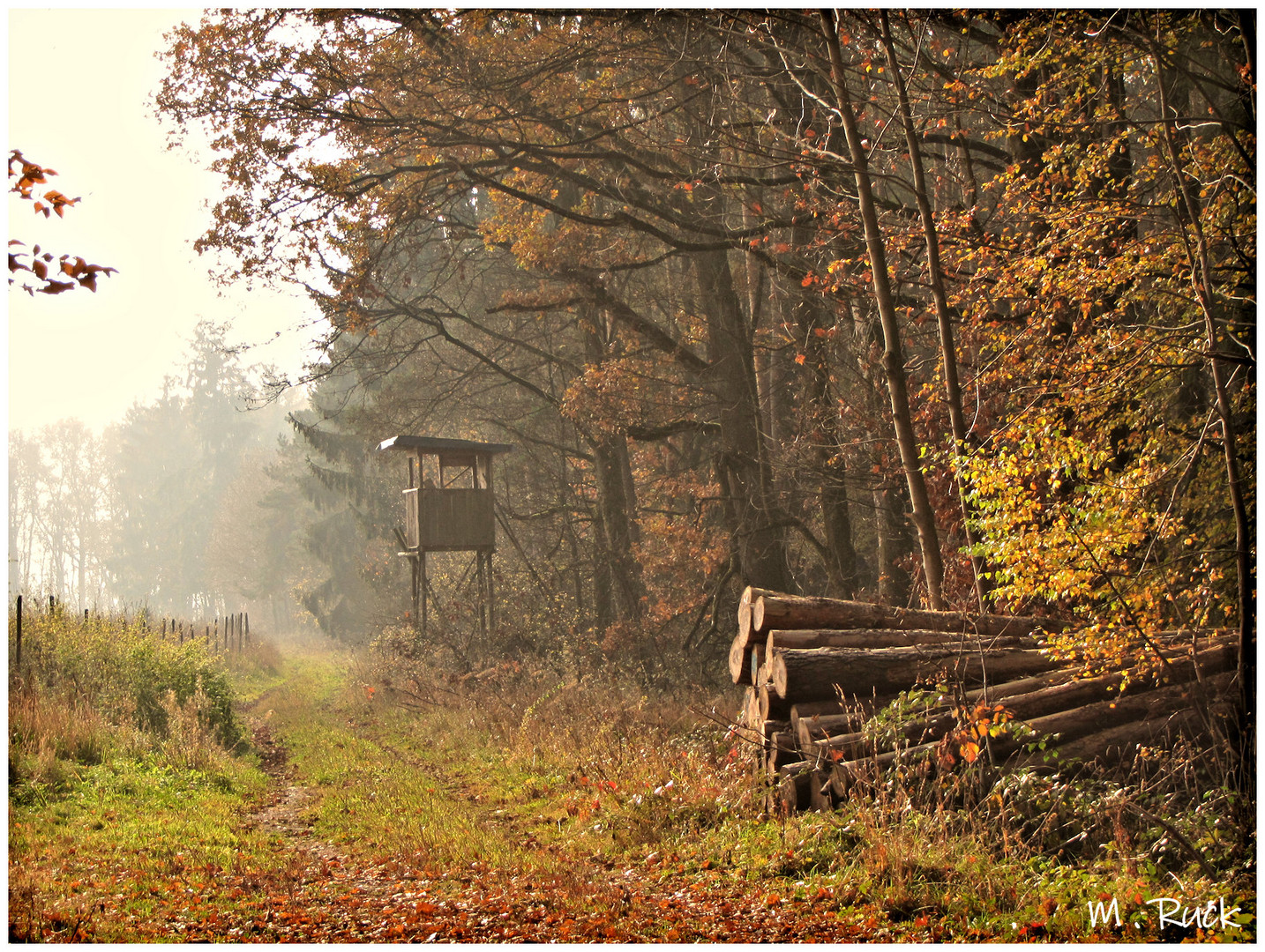  Unterwegs im November 