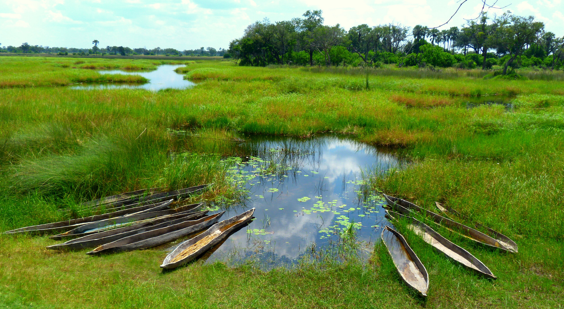 unterwegs im Okavango-delta..