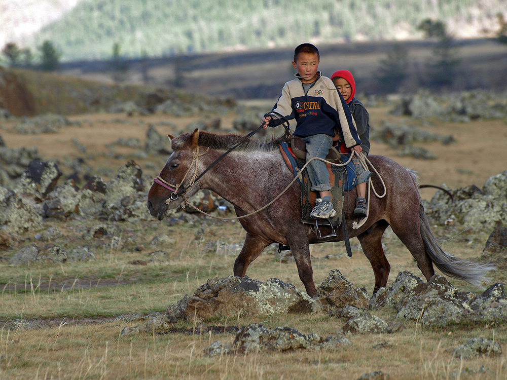 unterwegs im Orchon-Tal (Mongolei)