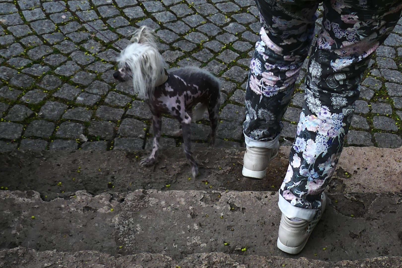 unterwegs im "Partnerlook"