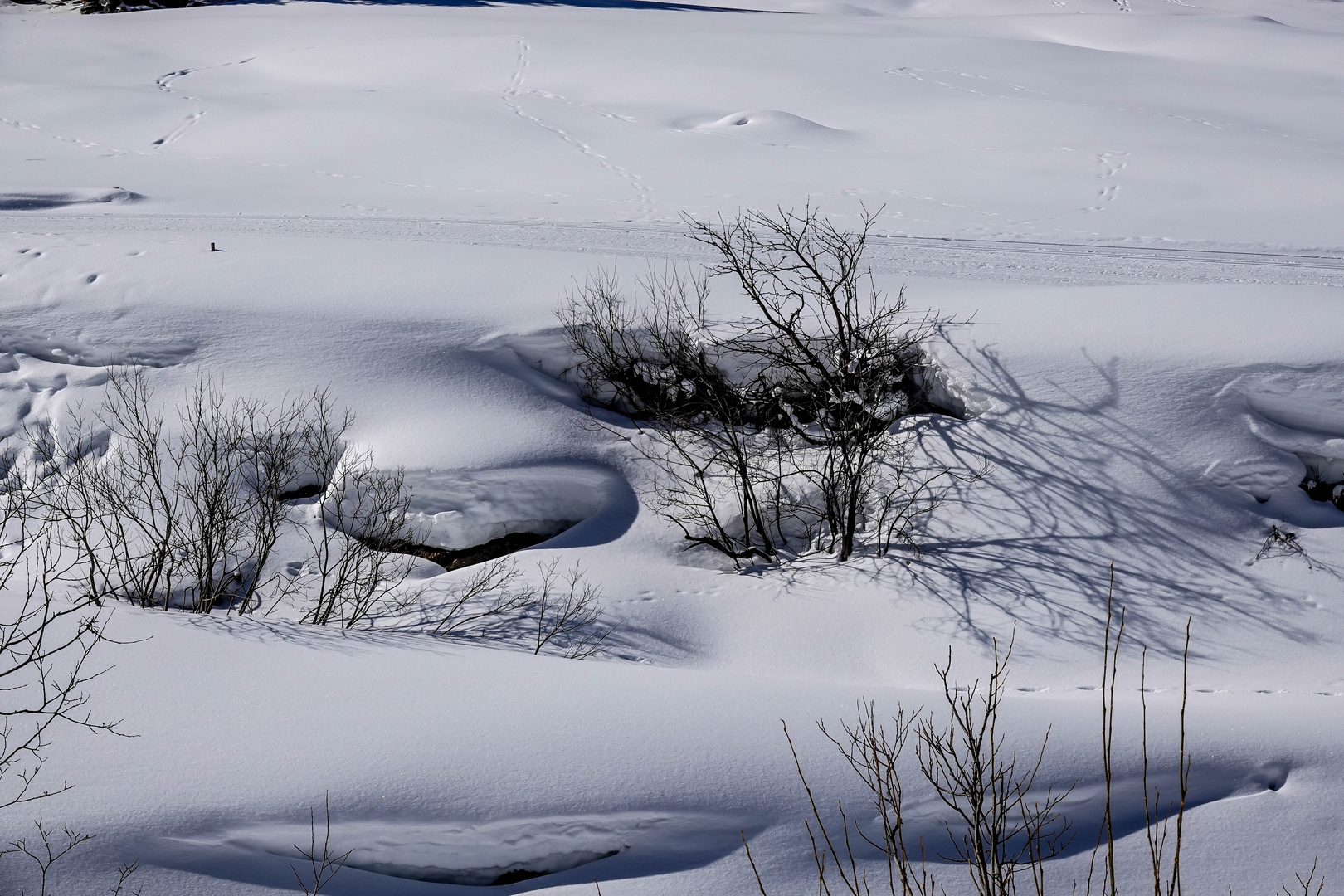 Unterwegs im Pitztal (4)