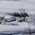 Unterwegs im Pitztal (4)