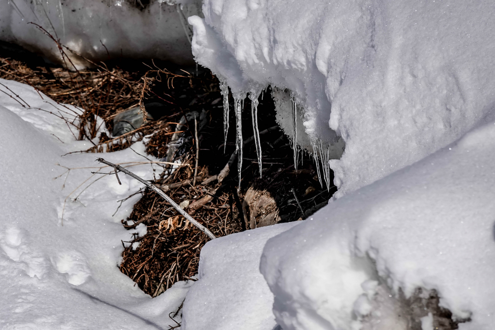 Unterwegs im Pitztal (5)