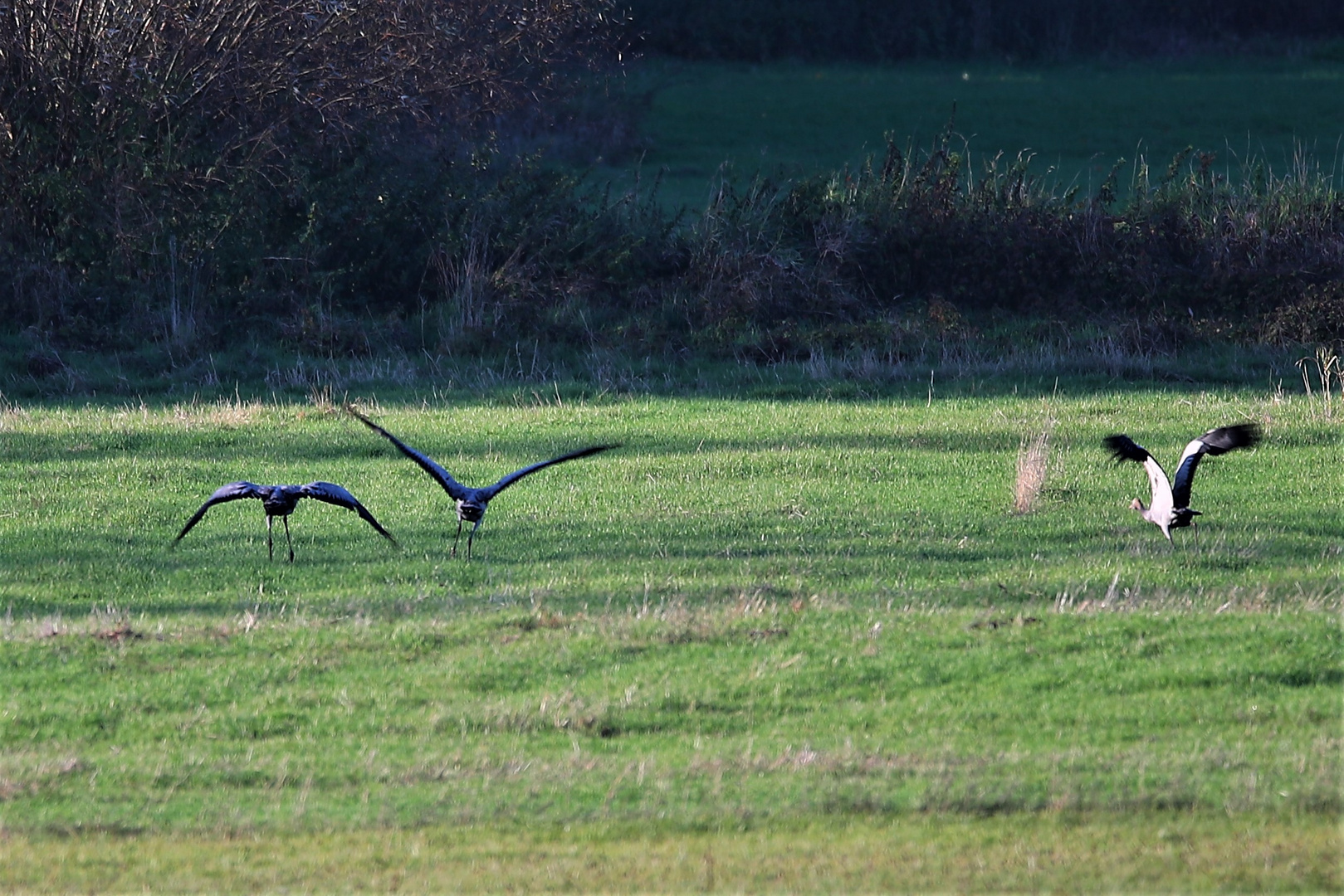 Unterwegs im Polder