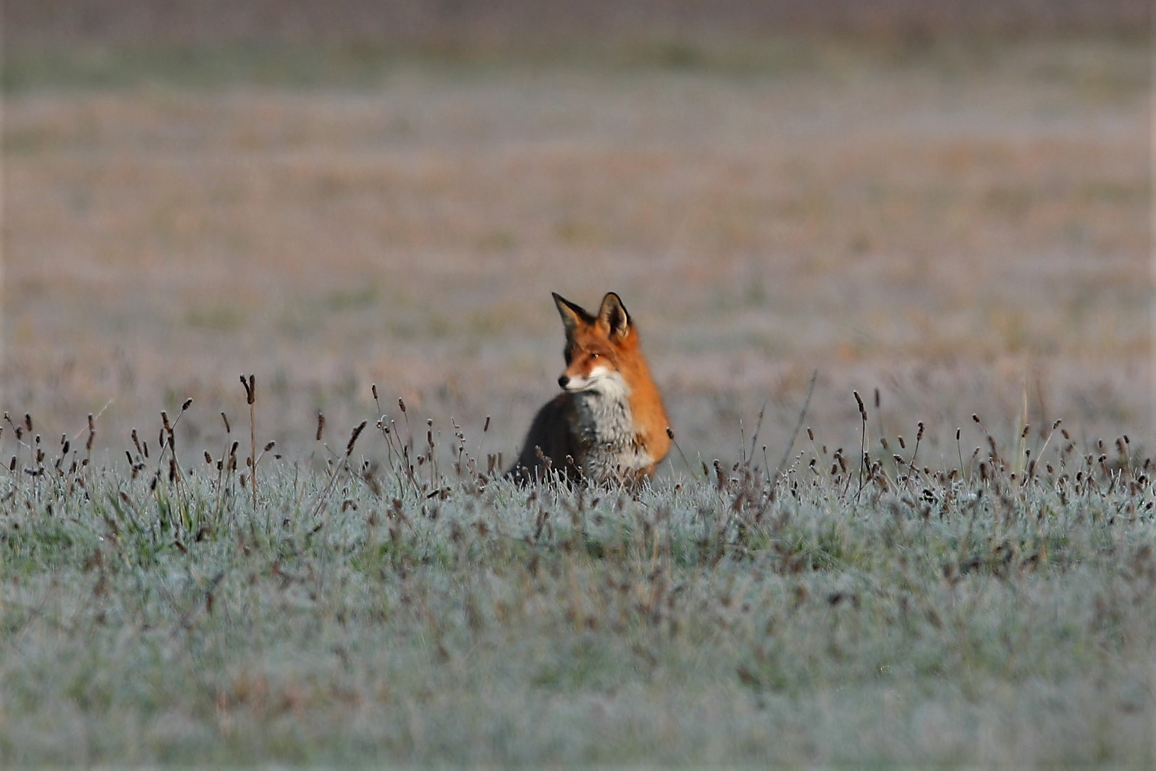 Unterwegs im Polder