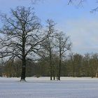 Unterwegs im Pücklerpark - Branitz - Cottbus