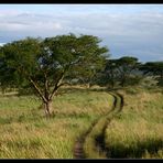 Unterwegs im Queen Elizabeth NP, Uganda