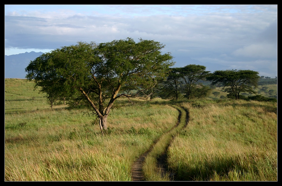 Unterwegs im Queen Elizabeth NP, Uganda