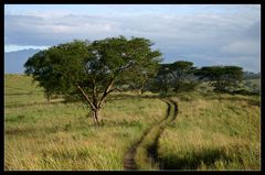 Unterwegs im Queen Elizabeth NP, Uganda