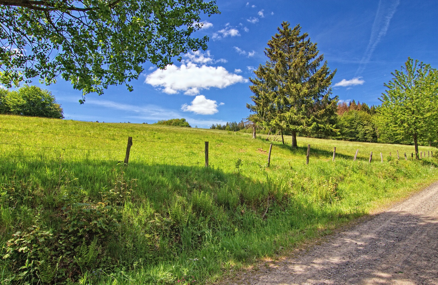 Unterwegs im Quellental II