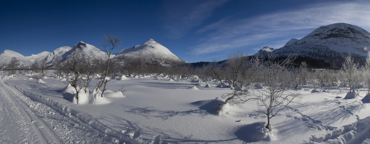 unterwegs im Ørskogfjellet