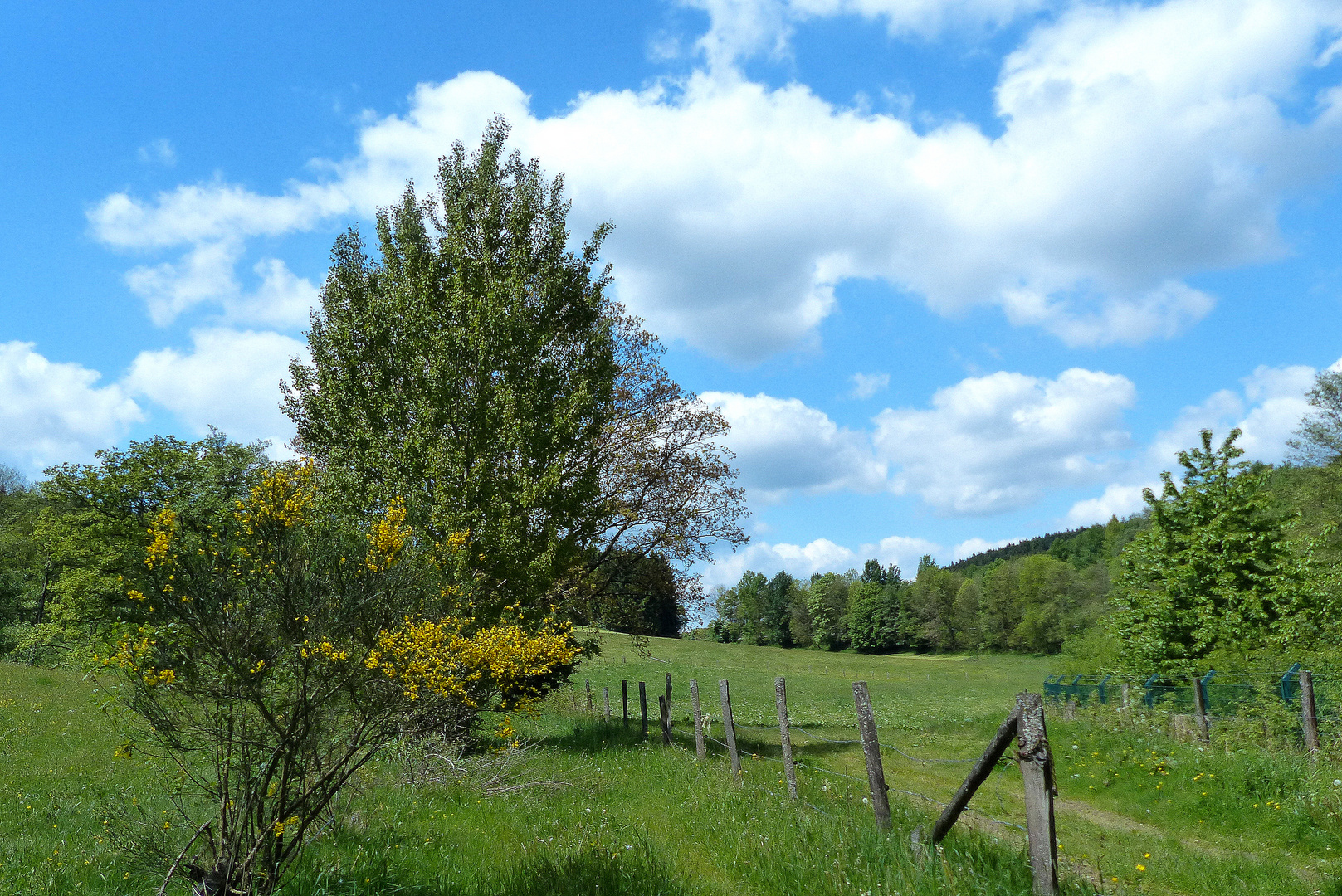 unterwegs im Sauerland