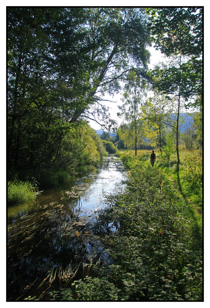 Unterwegs im Sauertal