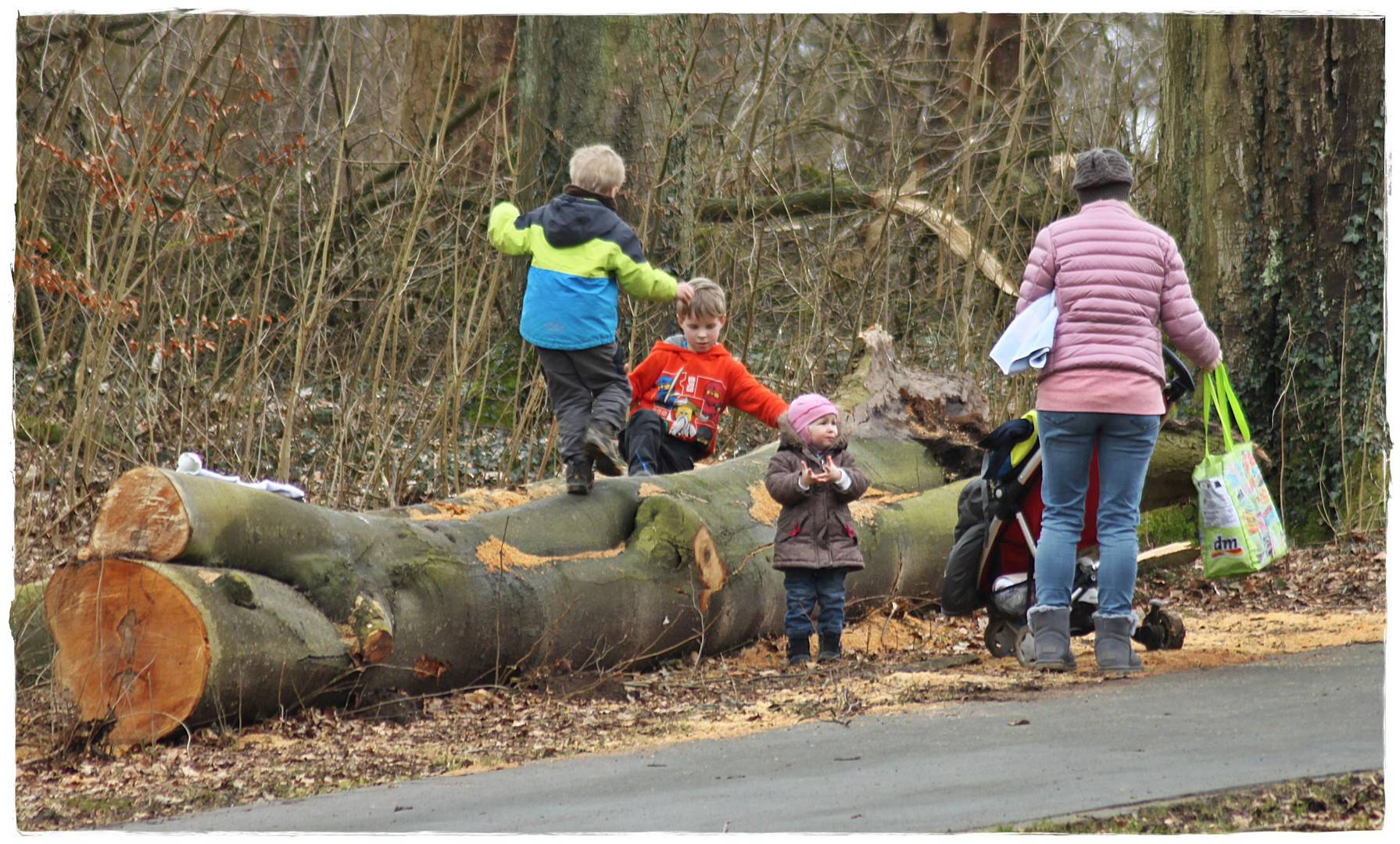 Unterwegs im Schiederpark