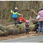 Unterwegs im Schiederpark