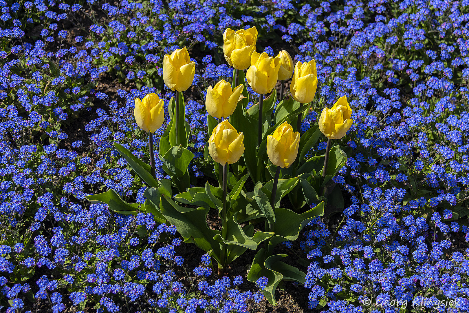 Unterwegs im Schlossgarten … 