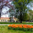unterwegs im Schlosspark Erlangen