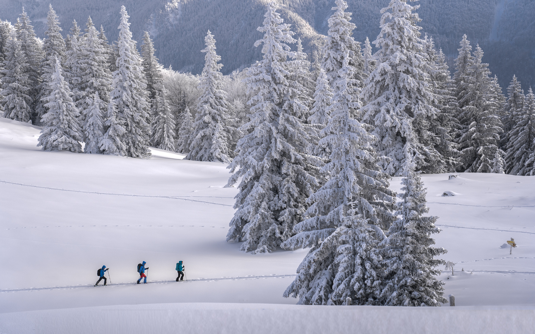 Unterwegs im Schnee