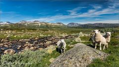 Unterwegs im schönen Valdresflye 