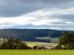 Unterwegs im Schwarzwald