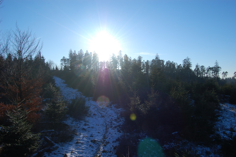 Unterwegs im Schwarzwald