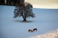 Unterwegs im Schwarzwald