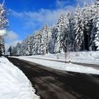 Unterweg's im Schwarzwald