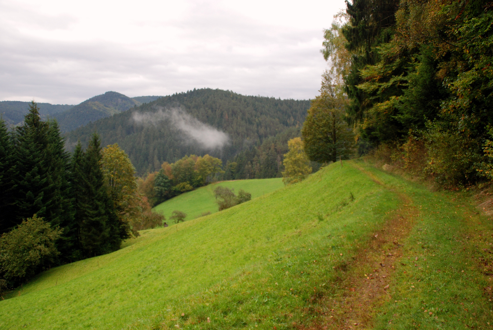 Unterwegs im Schwarzwald auf dem Westweg 1