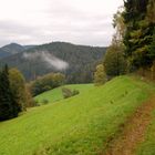 Unterwegs im Schwarzwald auf dem Westweg 1