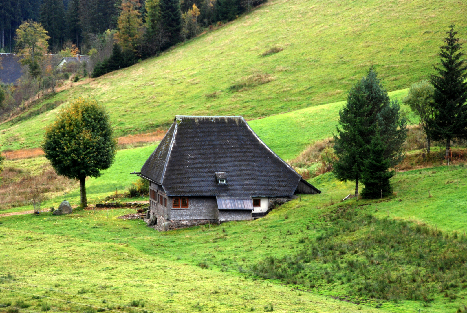 Unterwegs im Schwarzwald auf dem Westweg 2