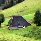 Unterwegs im Schwarzwald auf dem Westweg 2