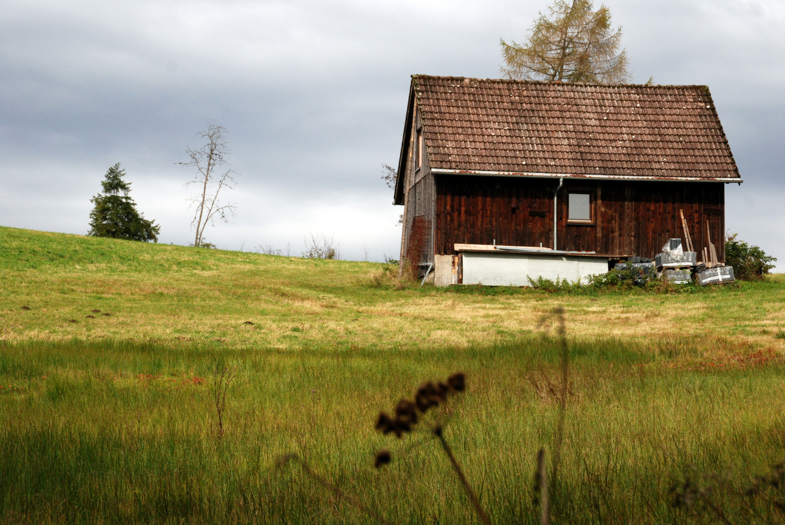 Unterwegs im Schwarzwald auf dem Westweg 3