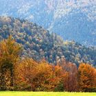 Unterwegs im Schwarzwald auf dem Westweg 4