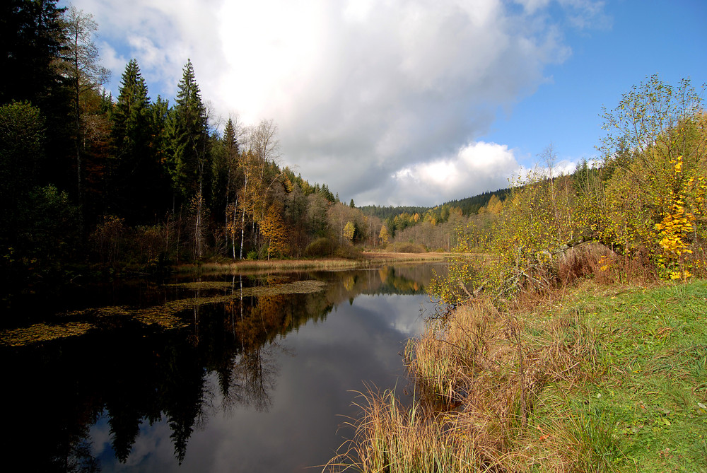 Unterwegs im Schwarzwald