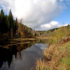 Unterwegs im Schwarzwald