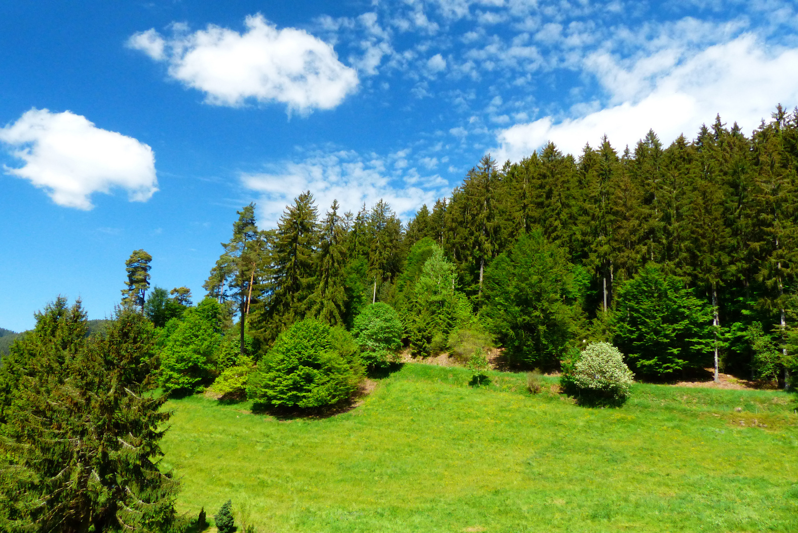 ***Unterwegs im Schwarzwald***