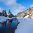 unterwegs im Schwarzwassertal.....