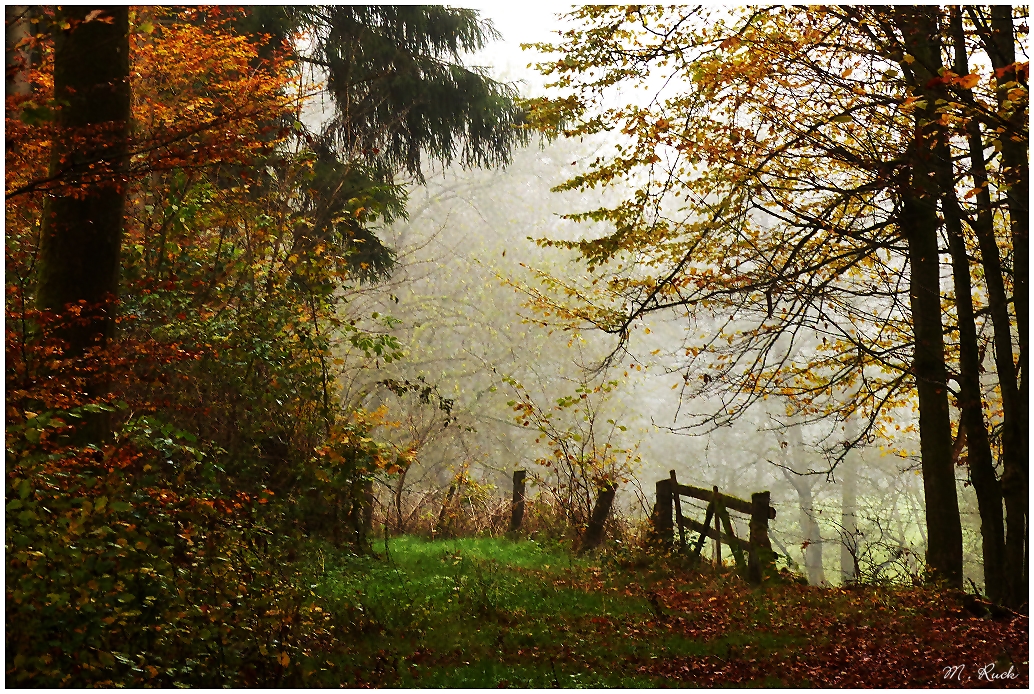 Unterwegs im Spessart  , 01