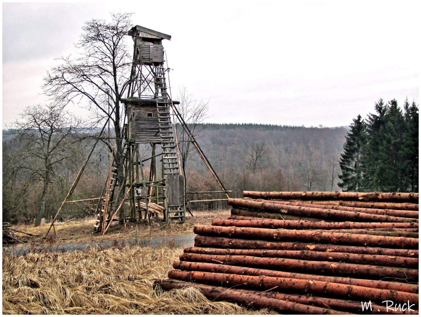 Unterwegs im Spessart gesehen 