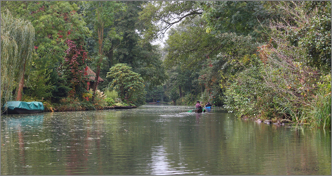 - unterwegs im Spreewald - 