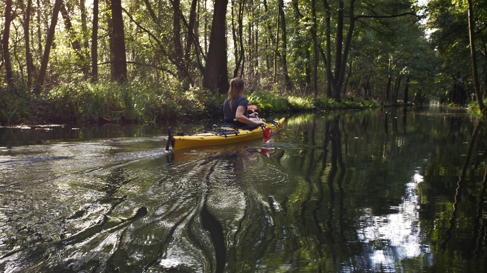 Unterwegs im Spreewald