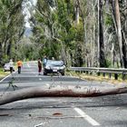 Unterwegs im Südosten Australiens. Unfreiwiliger Stop inclusive